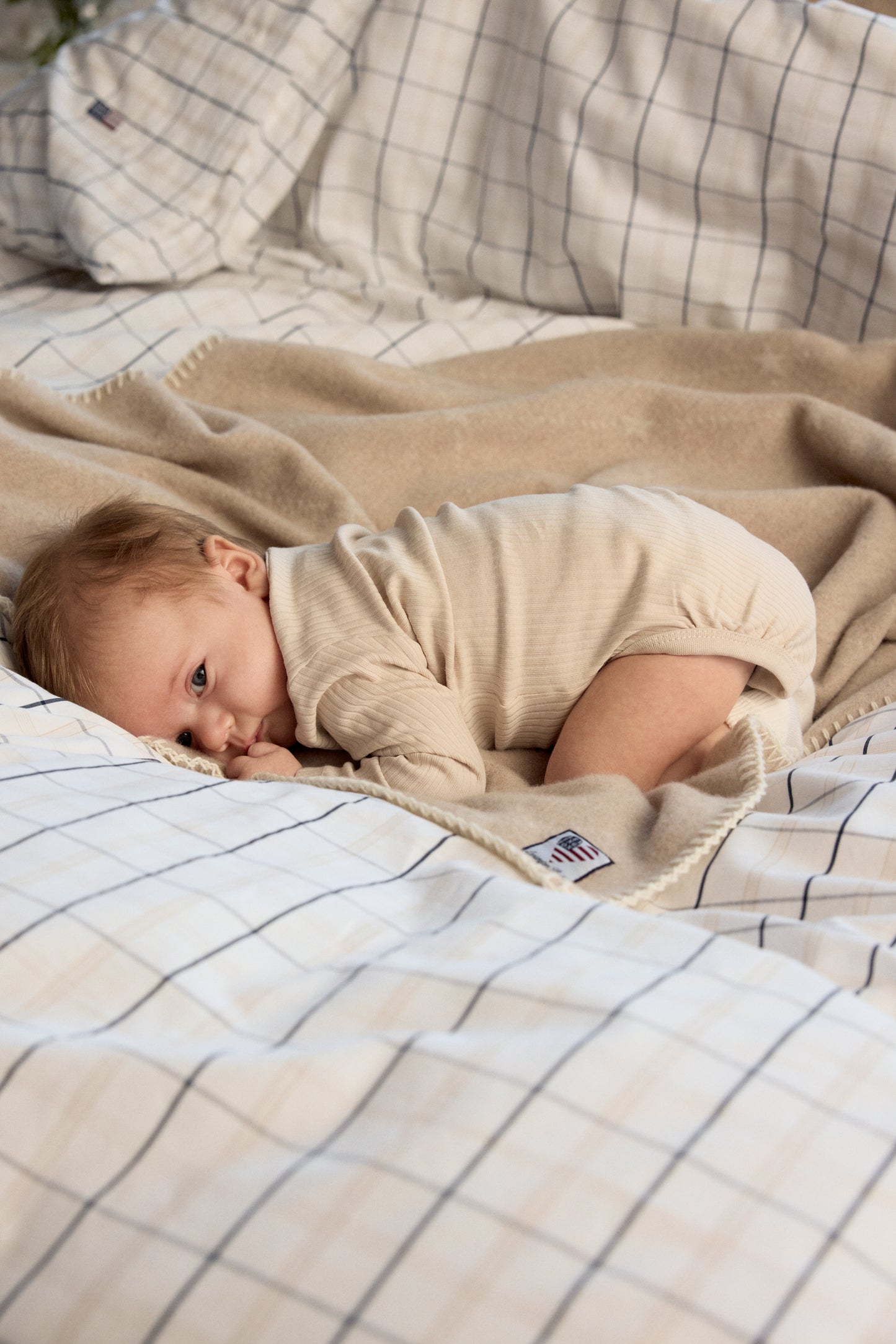 Lexington Babyteppe i ull